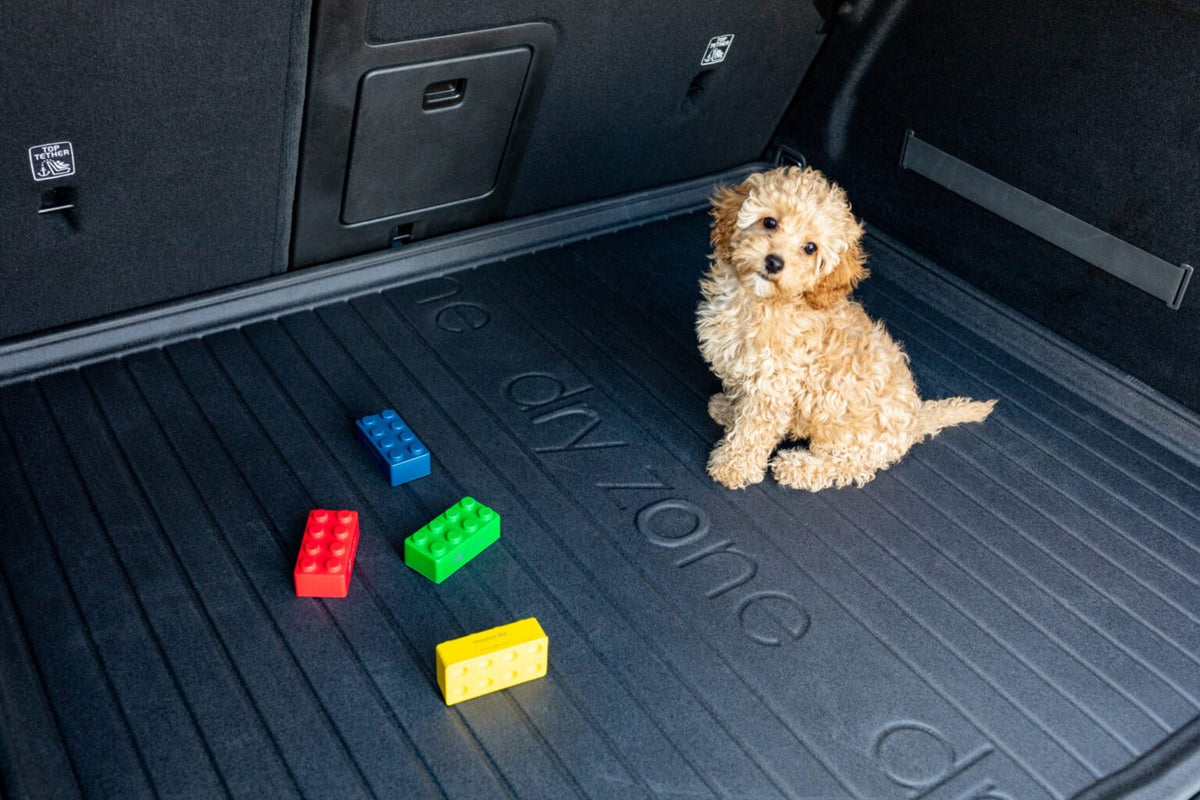 Hund im Kofferraum auf der Dryzone Matte