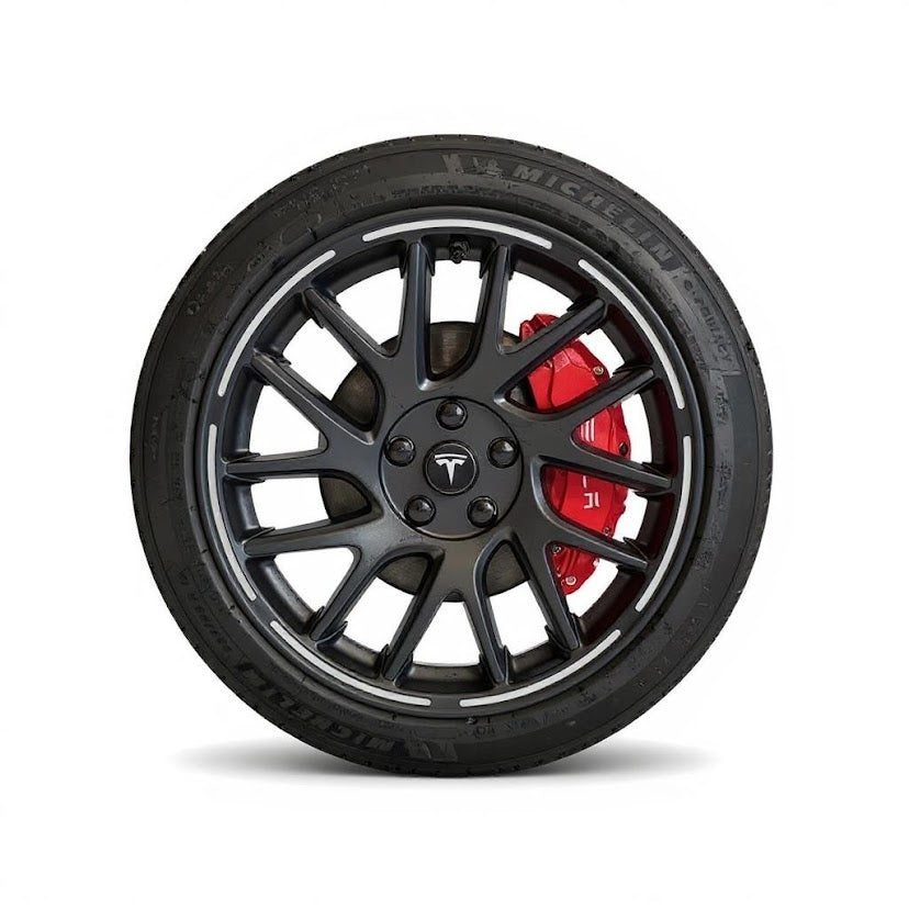 Felgenschutz für 18" Photon Felgen des Tesla Model 3 Highland