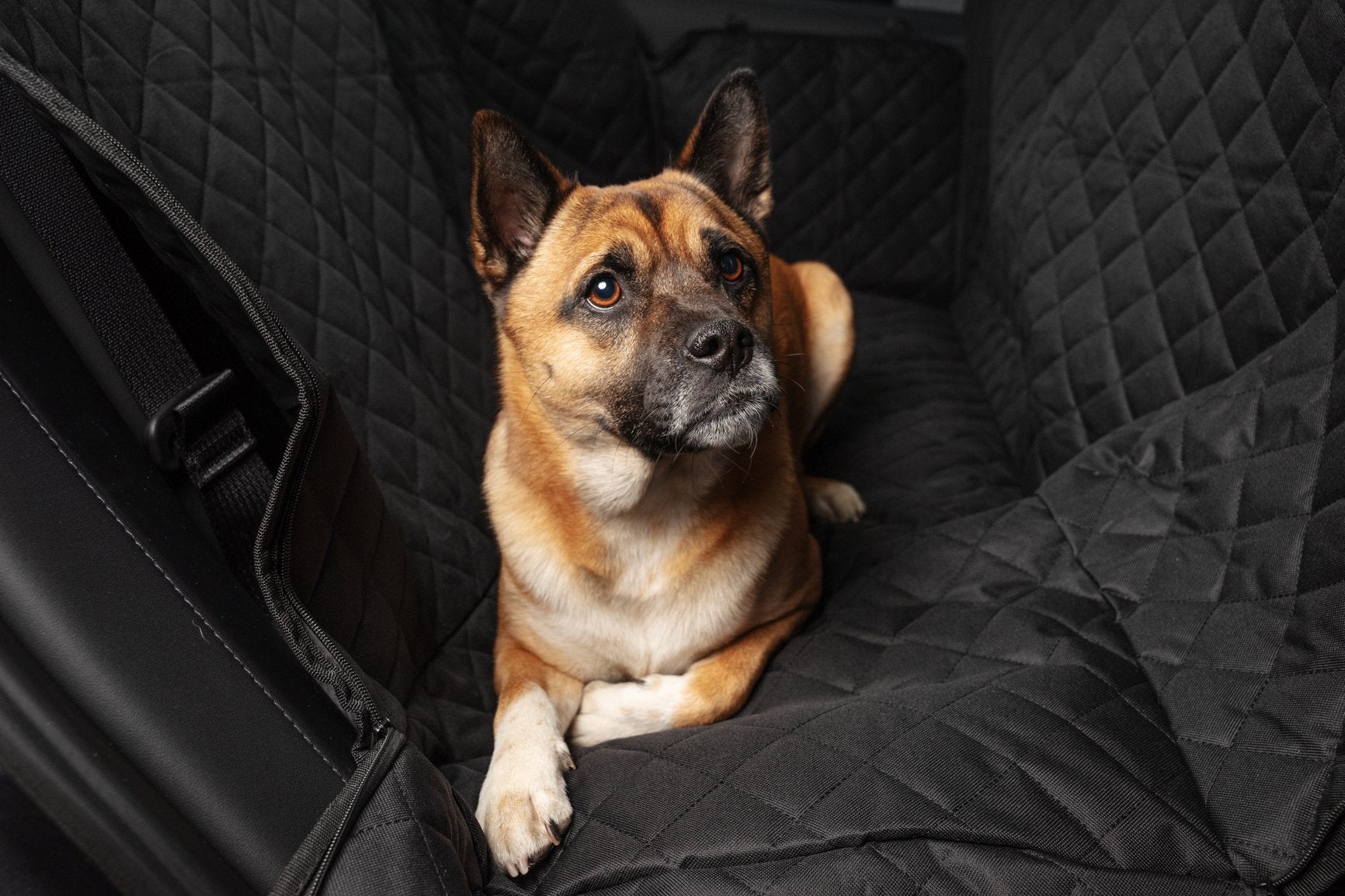 Dog mat for the back seat