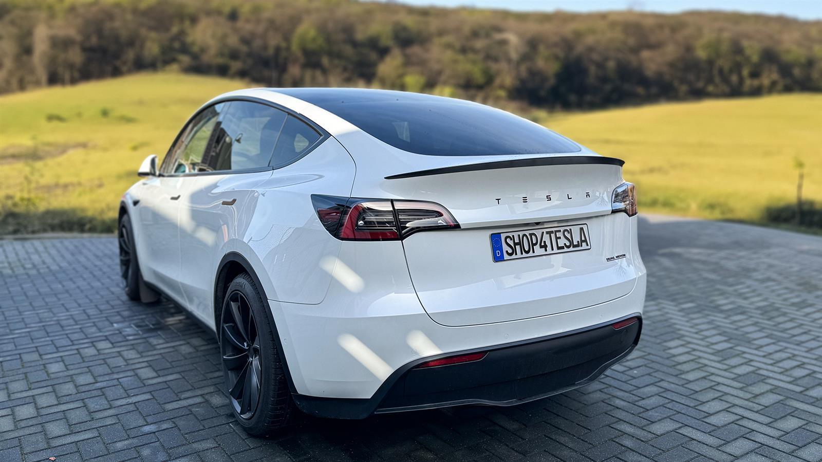 Tesla lettering for all Tesla models